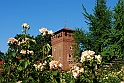 Borgo e Rocca Medioevale_022